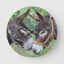 Recherche de ânes horloges Animal