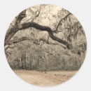 Search for oak leaf stickers Trees