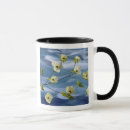 Search for dogwood mugs Plant