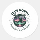 Search for true north stickers Vbs 2