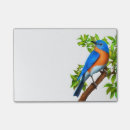 Recherche de oiseau bleu oriental posters Oiseaux