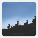 Search for deer stand stickers Horizontal
