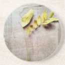 Recherche de naturel photographie Feuille