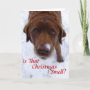 Recherche de chocolate labrador christmas cards Neige