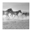 Search for mustang tiles Horses
