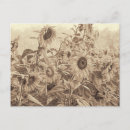 Search for vintage sepia postcards Antique