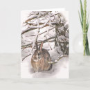 Search for seeking cards Nature