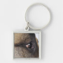 Search for animal body part keychains Domestic animals