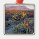 Search for usa ornaments Sunset