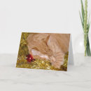 Search for orange tabby cat christmas cards Xmas