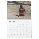 Search for bluebird calendars Hummingbird