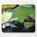 Recherche de grenouille tapis souris Animal