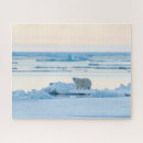 Search for iceberg puzzles Winter