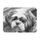Search for shih tzu magnets Pets