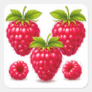 Search for ripe stickers Fresh