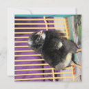 Recherche de volaille vœux cartes Mignon