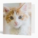 Search for 2015 avery binders Cute