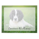 Recherche de newfoundland gifts Landseer