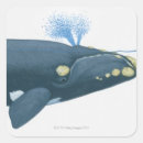 Search for underwater illustration stickers Animal