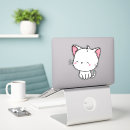 Recherche de chat angora turc Animaux