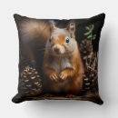 Search for pine nut Squirrel