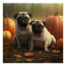 Recherche de chiot de carlin posters Animal