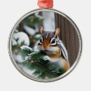 Search for chipmunk ornaments Cute