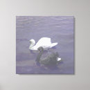 Search for black and white bird canvas prints Nature