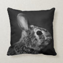 Search for cottontail pillows White