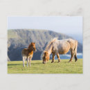 Recherche de juments cartes postales Cheval