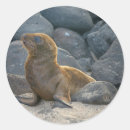 Search for kevin stickers Island