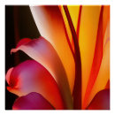 Recherche de rouge posters Pour eux