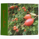 Search for juicy binders Red