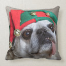 Search for funny pug pillows Pets