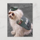 Recherche de chien policier cartes postales Drôle