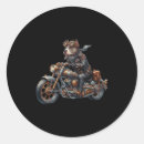 Search for vintage motorcycles stickers Biker