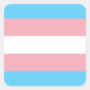 Search for trans pride flag stickers Love wins