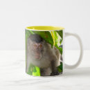 Search for macaque mugs Wildlife