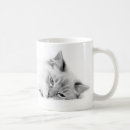 Search for ragdoll cats mugs Kitten
