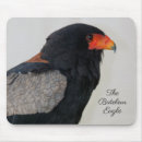 Search for eagle photos mousepads Wildlife