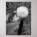 Recherche de hawaiian posters Molokai