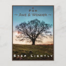 Recherche de etonner cartes postales Arbre