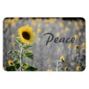 Search for peace magnets Black and white