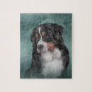 Search for bernese mountain dog puzzles Cute