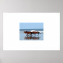 Recherche de corolle posters Chevaux