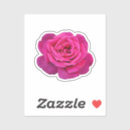 Search for blue petals stickers Pink