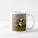 Recherche de rassemblement du chien tasses Chiot