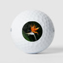 Recherche de orange golf balles Tropical