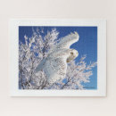 Recherche de oiseau de neige puzzles Hibou