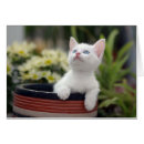 Recherche de gen photographie Animaux domestiques